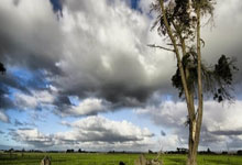 巴黎圣日耳曼擒杀对手晋级欧冠半决赛！