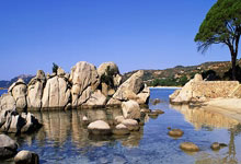 Fischer：科比-怀特寻求均薪3000万以上的提前续约合同，nba2kol2科比怀特有潜力吗