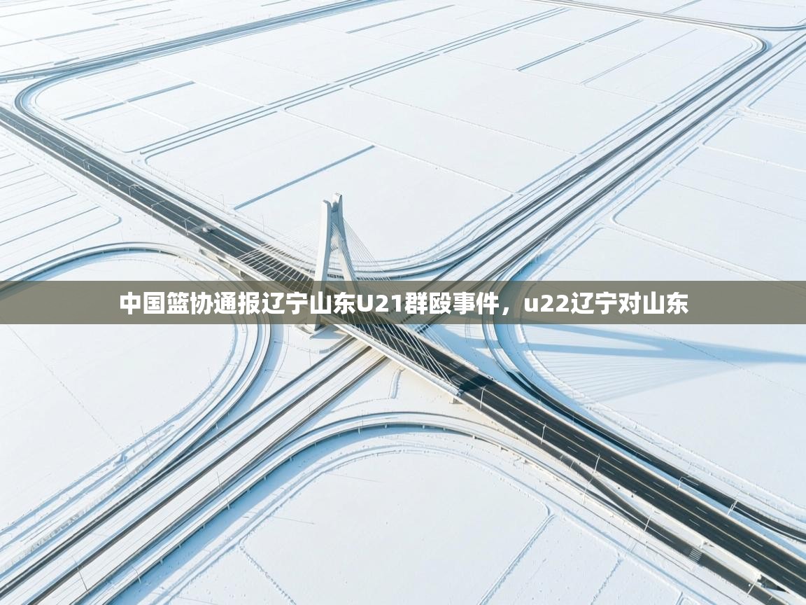 中国篮协通报辽宁山东U21群殴事件,u22辽宁对山东 第2张