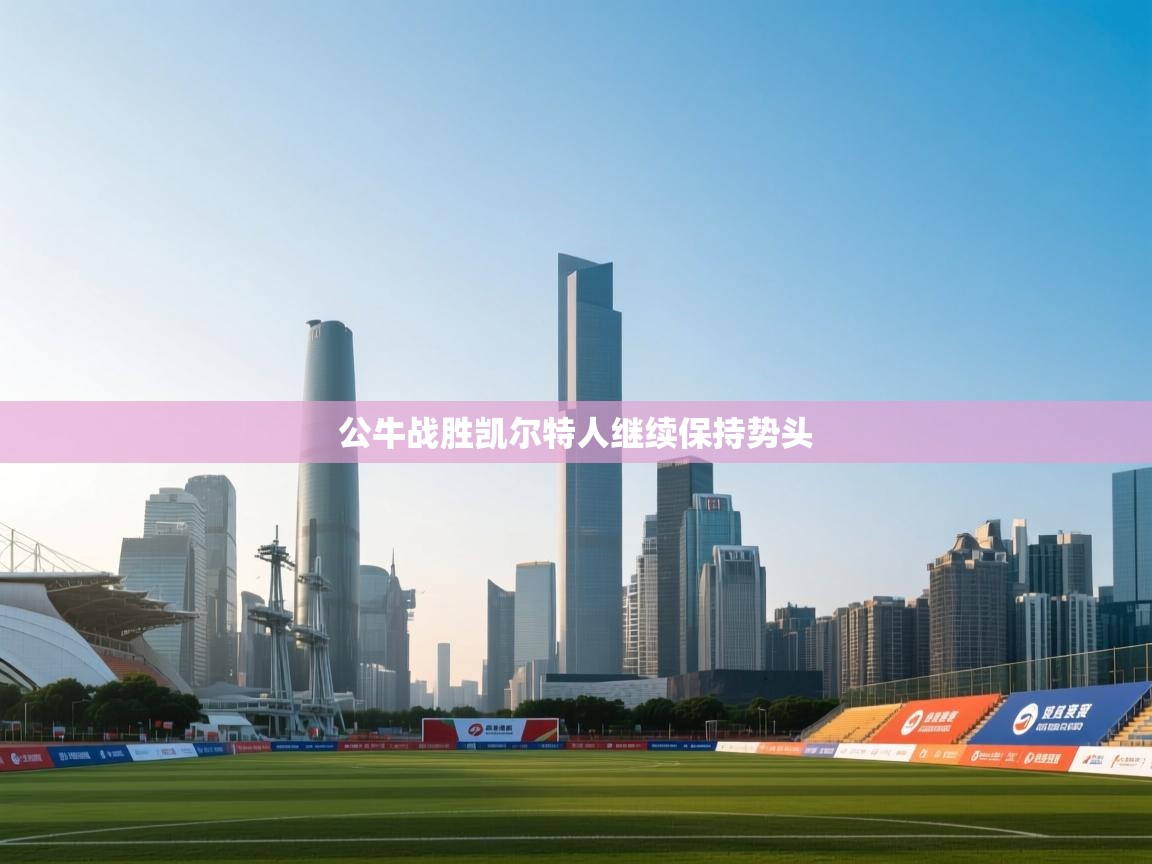 公牛战胜凯尔特人继续保持势头  第2张